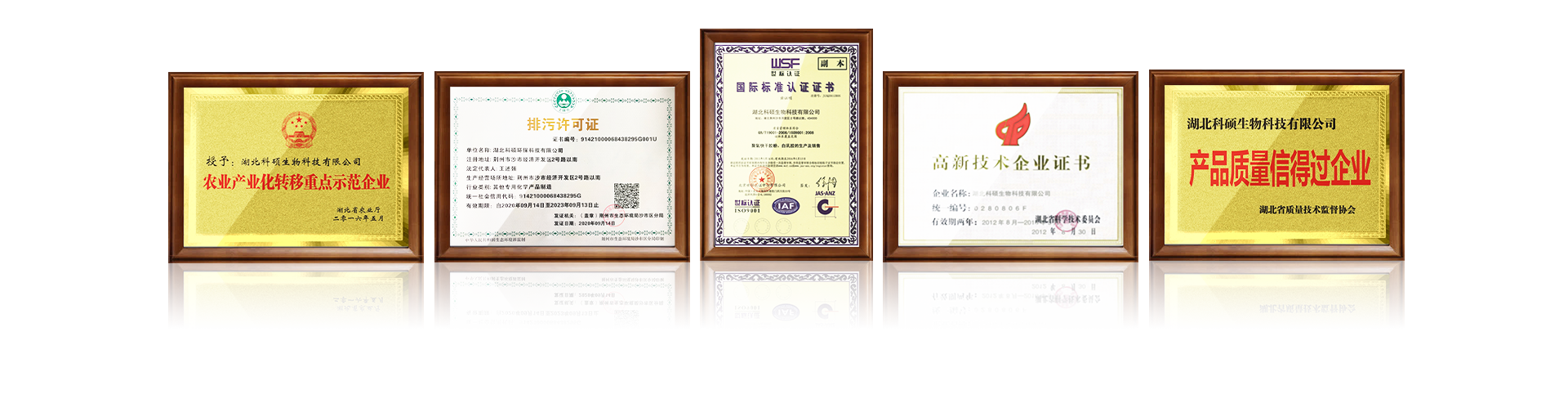 榮譽(yù)與證書.png